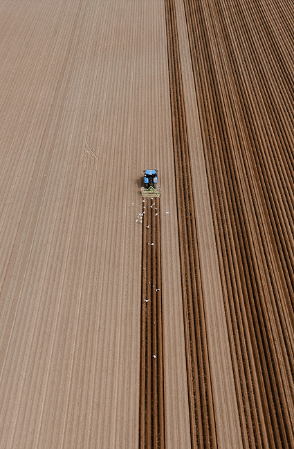Agricultura 